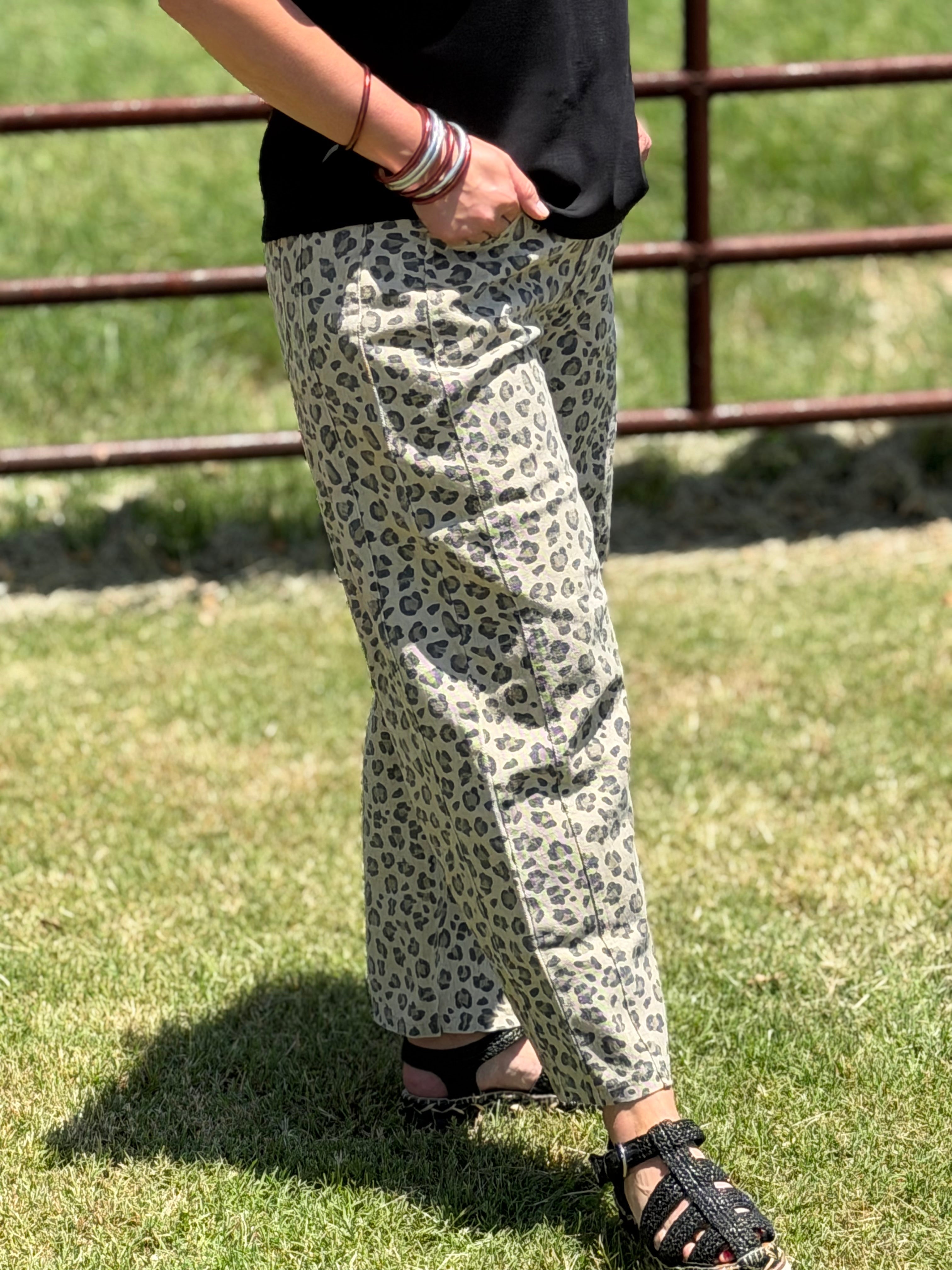 New Arrivals – The Cattle Call