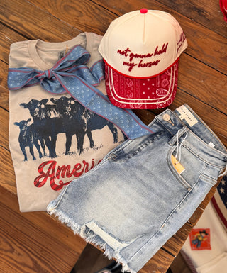 Denim Horseshoe Twilly