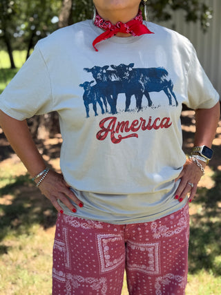 America Country Heritage Tee