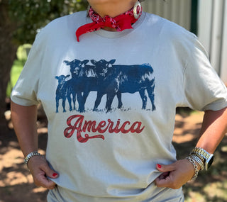America Country Heritage Tee